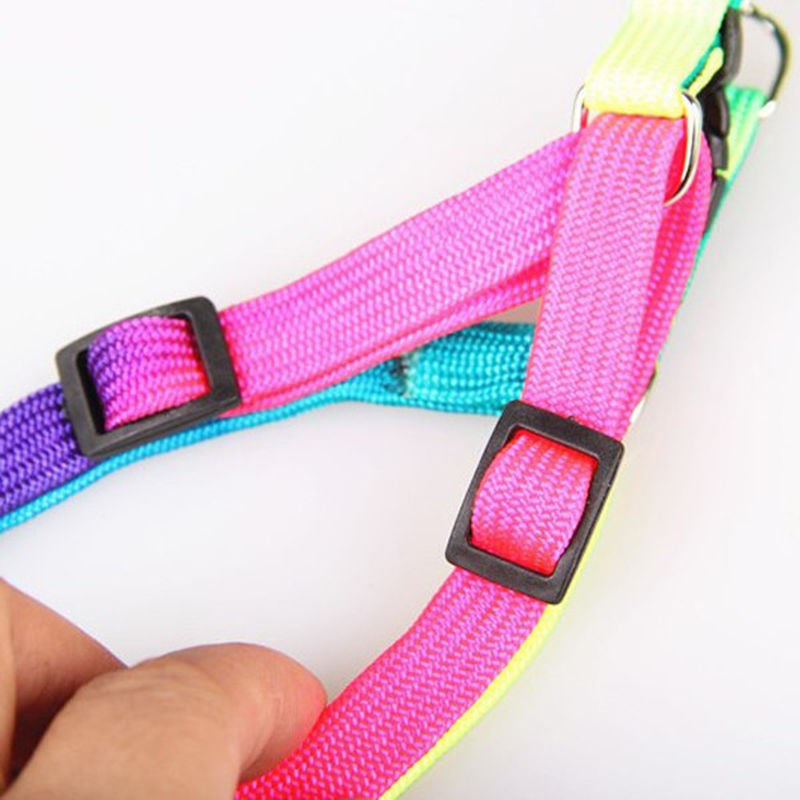 Adjustable Pet Small Nylon Harness