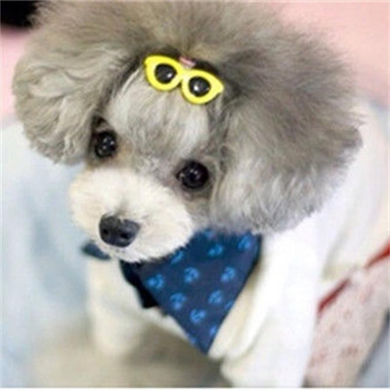 Pet Doggie Clips Sunglasses